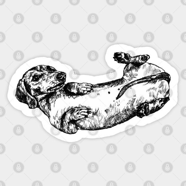 Cute Dachshund Sausage Dog Illustration Sticker by Tasmin Bassett Art